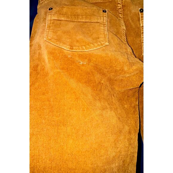 Patagonia Organic Cotton Corduroy Pants Women's 30 Brown Rust Fall Academia - Picture 7 of 8